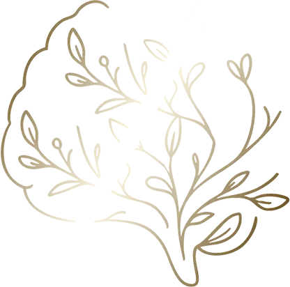 logo denise assis